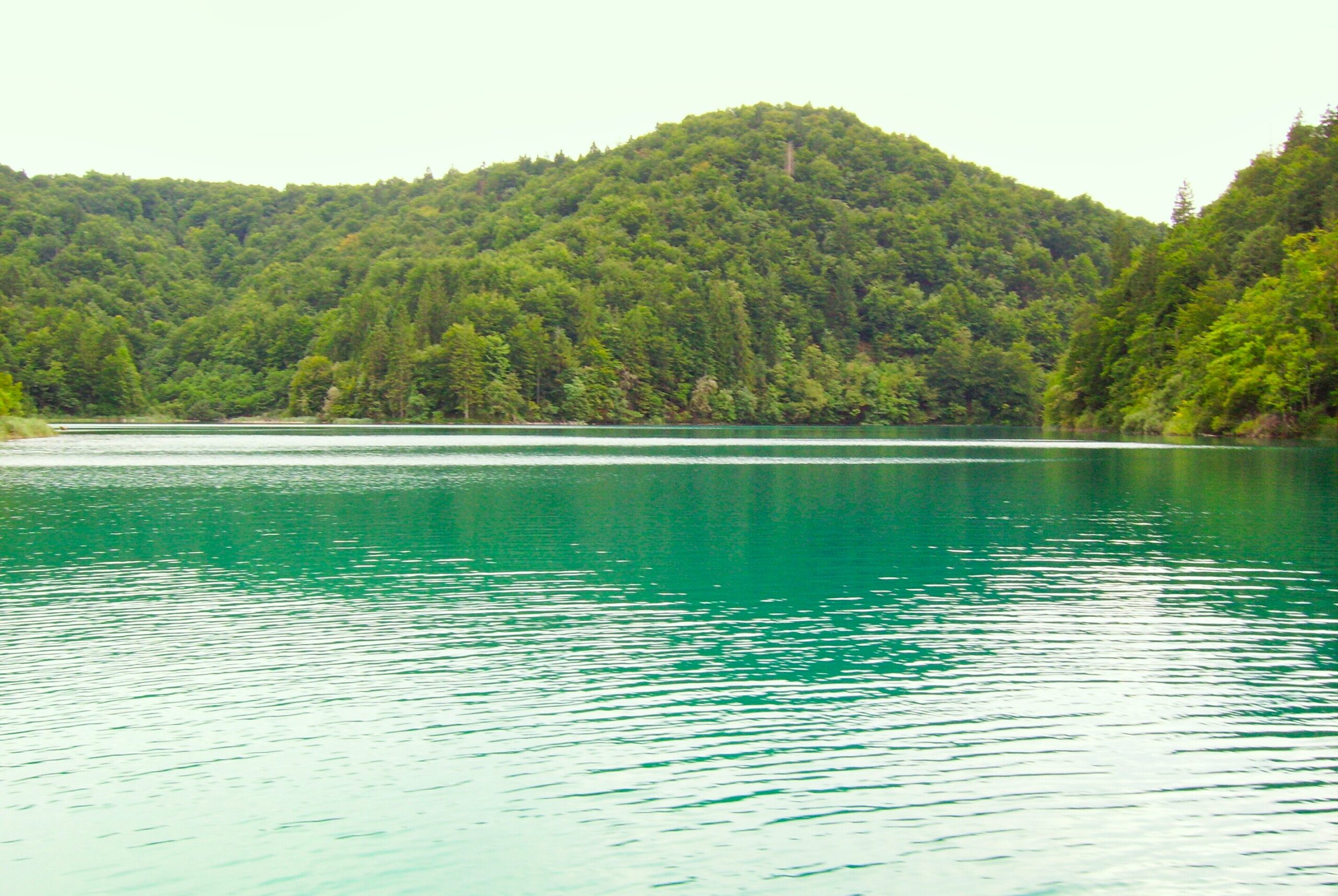 turkusowe jezioro w obrębie Parku Narodowego Jezior Plitwickich