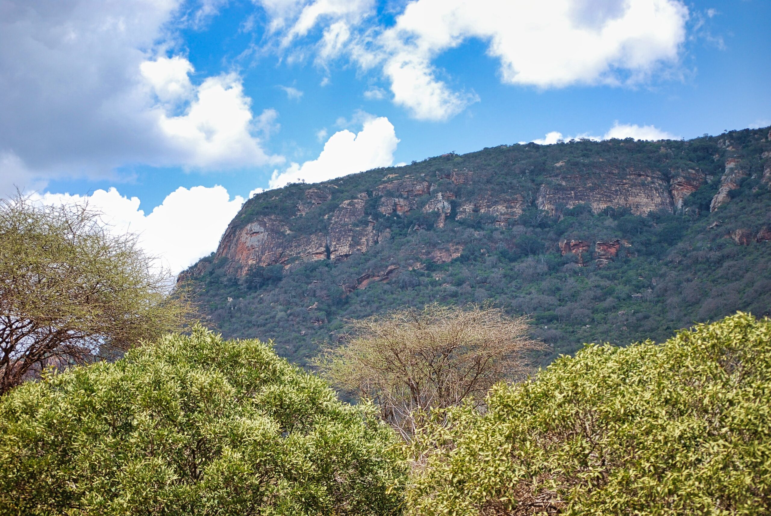 majestatyczna skała w Tsavo West Park podczas wyjazdu na safari w Kenii