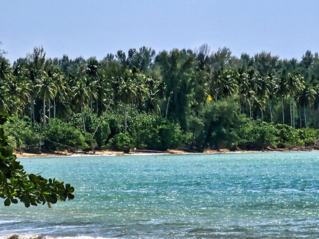 nabrzeże z plażą przy Oceanie Indyjskim w hotelu Kantary Beach Khao Lak w Tajlandii