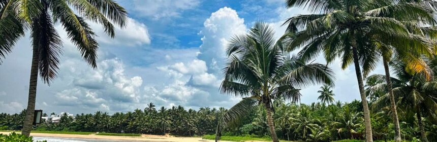 bajeczna plaża z tropikalną roślinnością podczas wyjazdu na wakacje na Sri Lance