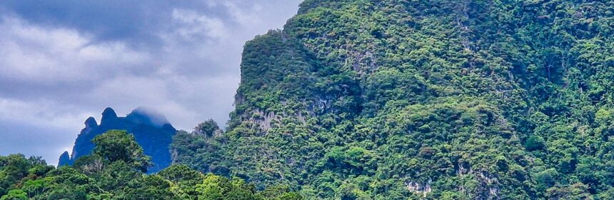 Bujna dżungla w Parku Narodowym Khao Sok (Khao Sok National Park) na południu kraju podczas wycieczki po Tajlandii