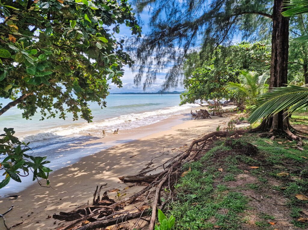 tropikalna plaża przy hotelu Kantary Khao Lak podczas wyjazdu na wakacje w Tajlandii