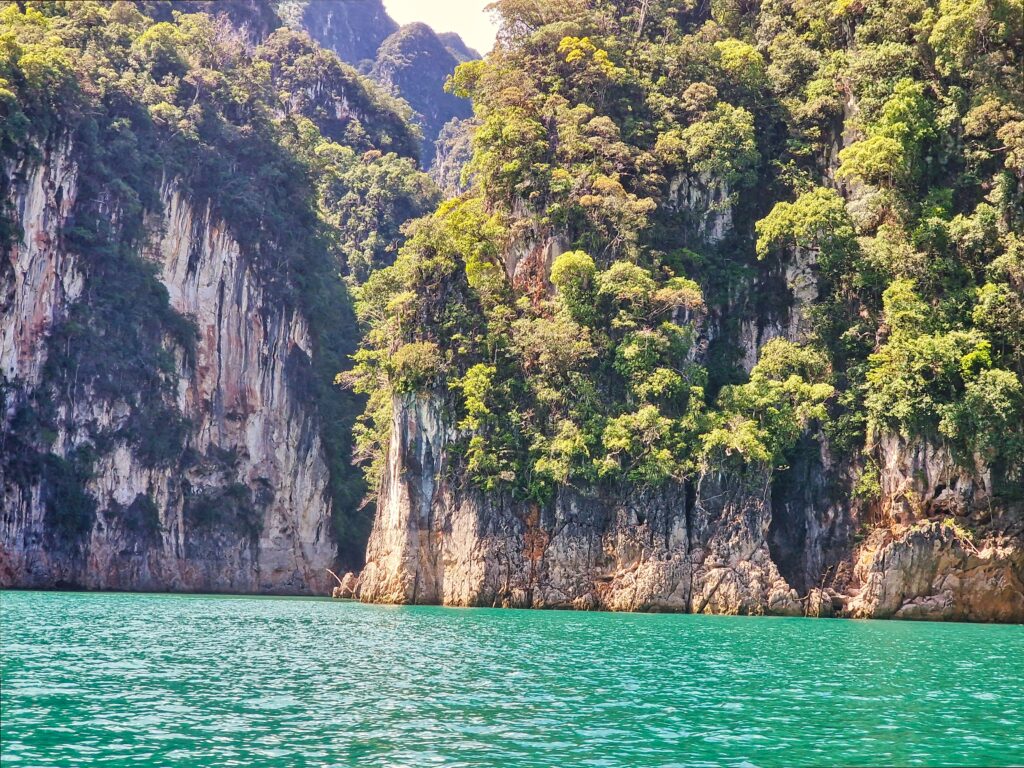 tropikalny krajobraz tajskiej dżungli w Khao Sok National Park