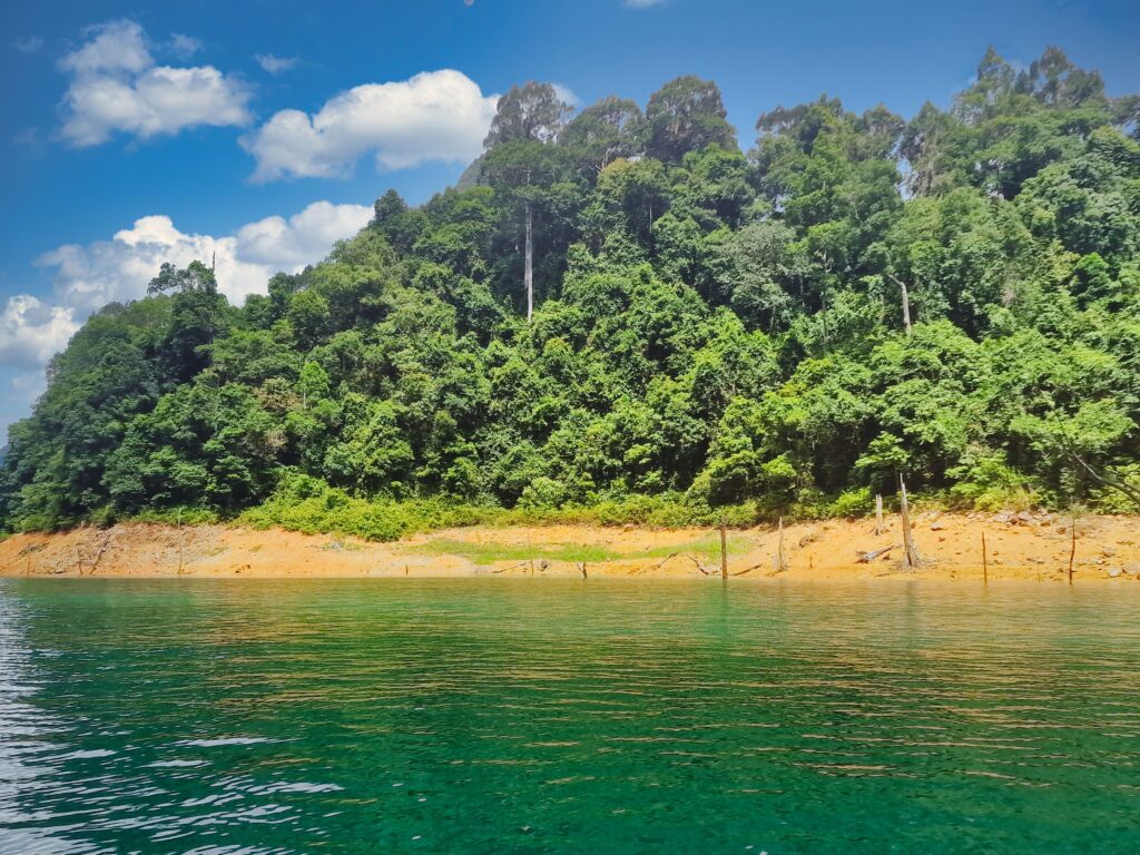 bujny las deszczowy w Parku Narodowym Khao Sok podczas wycieczki po Tajlandii