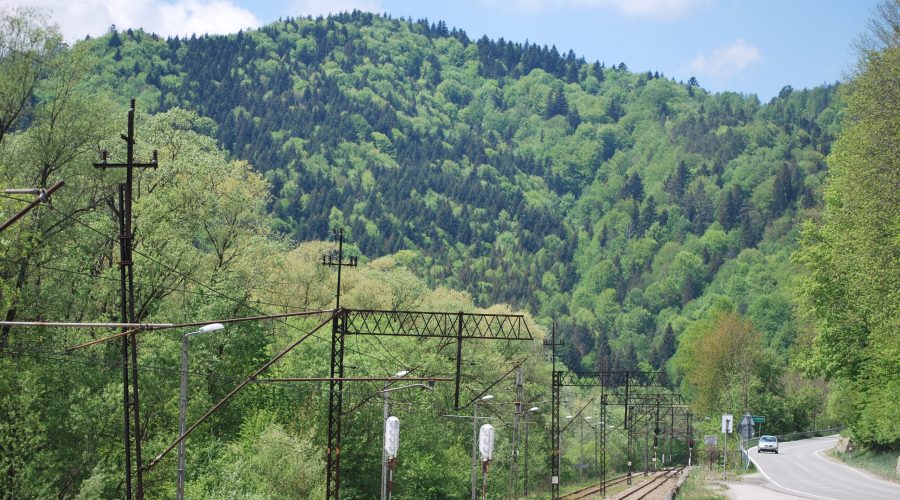 malownicza linia kolejowa przez Beskid Sądecki, uwieczniona podczas wycieczki do Wierchomli Wielkiej przy drodze z Piwnicznej Zdroju do Muszyny i dalej Krynicy