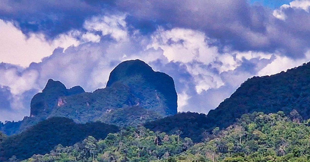 rainforest in the Khao Sok National Park in Thailand