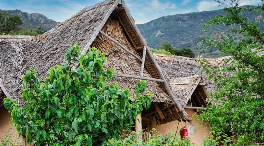 drewniane domki w lodży na terenie Parku Narodowego Tsavo West podczas safari w Kenii