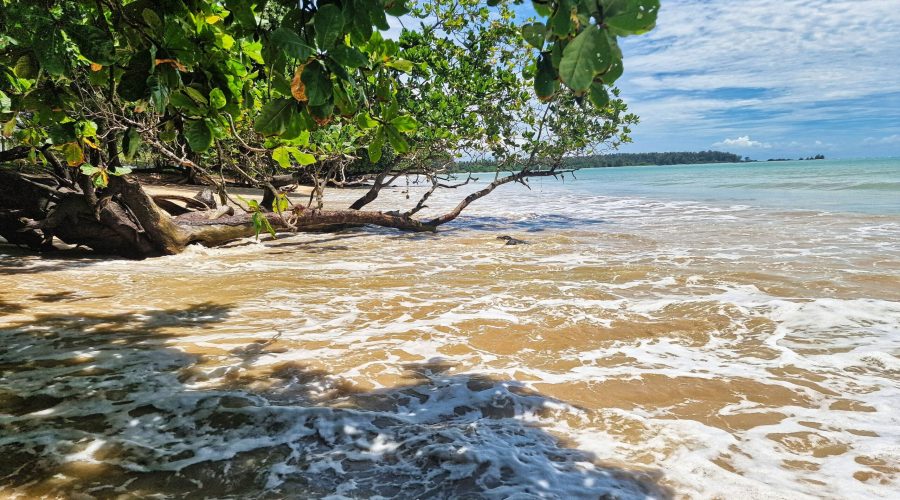 turkusowe Morze Andamańskie przy jednym z hoteli w regionie Khao Lak na południu Tajlandii