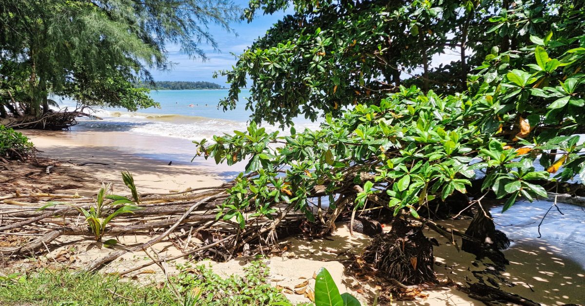 tropikalna plaża w Tajlandii przy hotelu Kantary Beach Khao Lak podczas wyjazdu na wczasy w tym hotelu