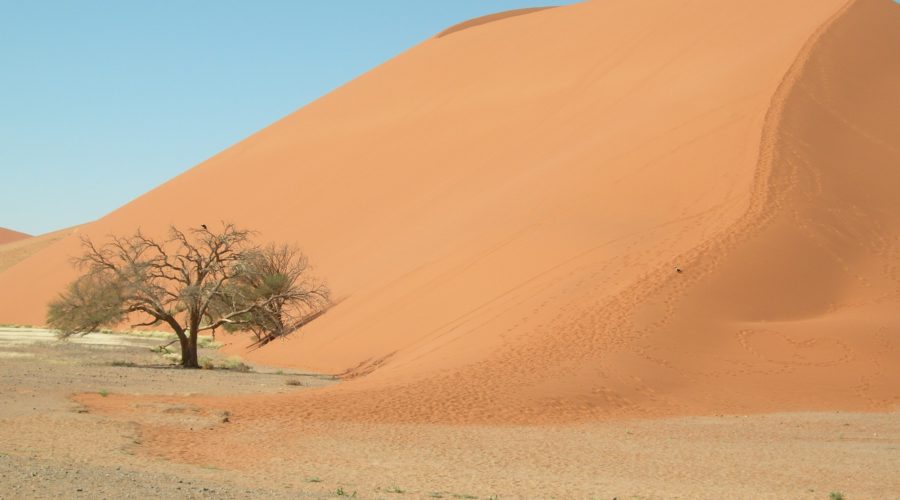 namibia wycieczki