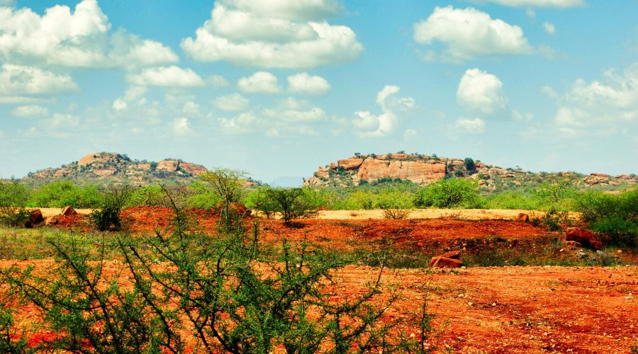 krajobraz z wyjazdu na safari w Kenii