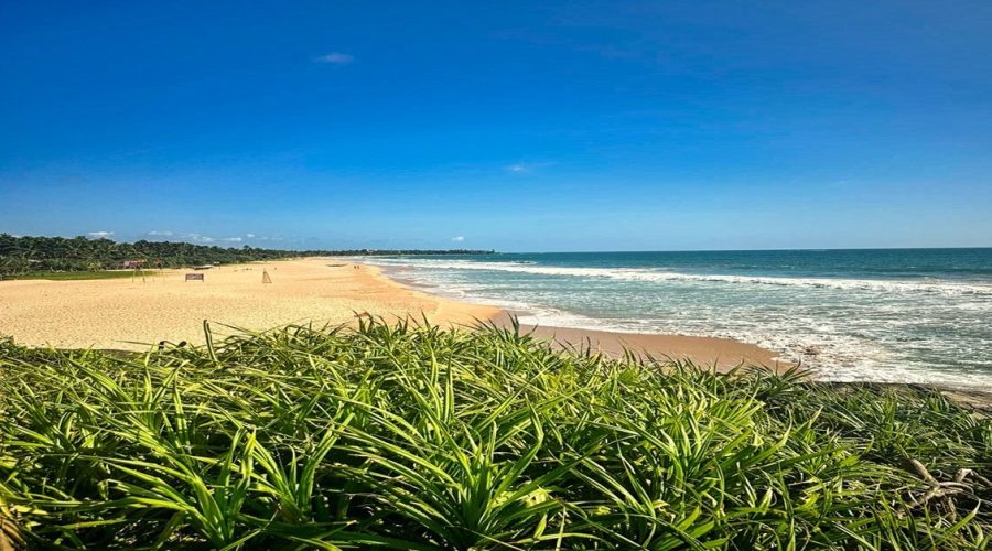 dziewicza plaża na wybrzeżu Sri Lanki podczas wyjazdu na wczasy na Sri Lance